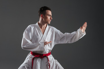 Young sportsman dressed in kimono practice in karate © Drobot Dean