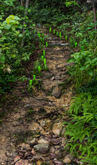 Fototapeta premium Walk way hill upright eastern Thailand