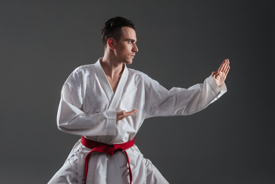 6,758 Karate Pose Stock Photos, High-Res Pictures, and Images - Getty Images