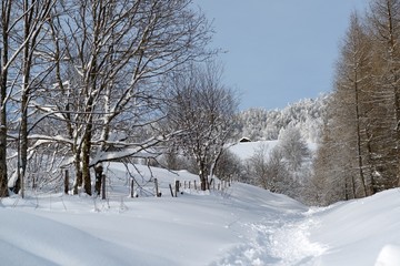 chemin vosgien sous la neige Chalet