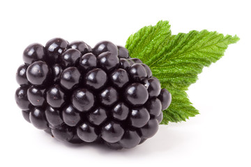blackberry with leaf isolated on a white background closeup