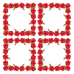 Pattern of red hibiscus on a white background 