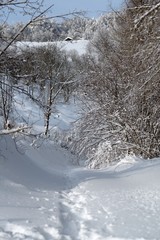 chemin vosgien sous la neige Chalet