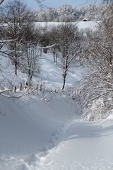 chemin vosgien sous la neige Chalet