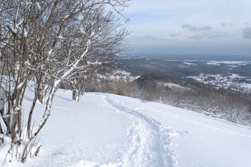 Obraz premium Chemin vosgien sous la neige