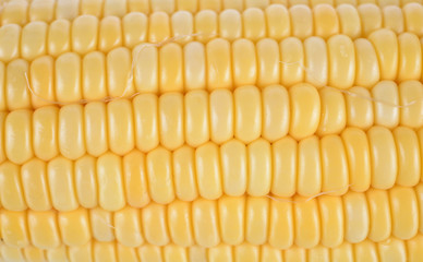 Sweet corn