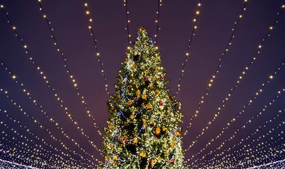 Fototapeten Christmas tree lights. © jana_janina