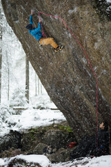 Extreme winter sport climbing. Young male rock climber on a rock wall. Snowy forest on the background.
