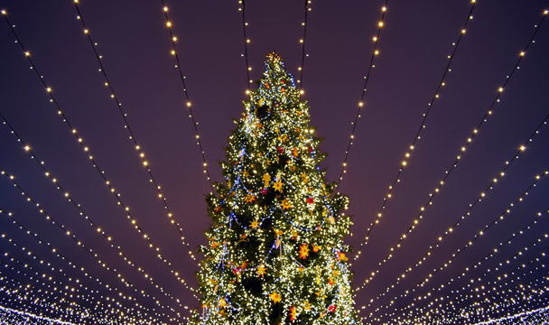 Christmas tree lights.