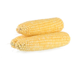 Sweet corn isolated on white background