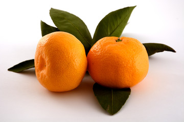 Two orange tangerine