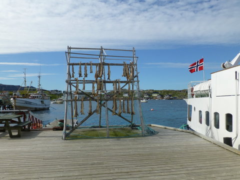 Trockenfisch auf einem Holzgestell in Husavik Norwegen