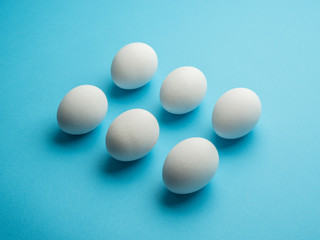 White chicken eggs on the blue background.