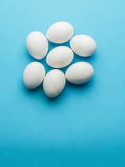 White chicken eggs on the blue background.
