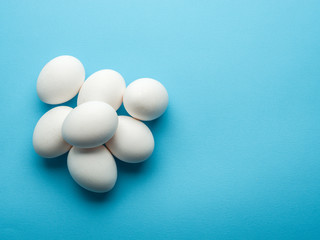 White chicken eggs on the blue background.