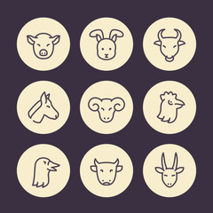 Farm animals line icons set, goat, ram, hen, goose, pig, rabbit, bull, horse, cow head