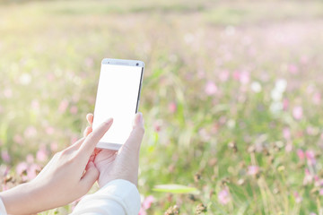 Woman's hands using smartphone on garden flowers background with sunlight.