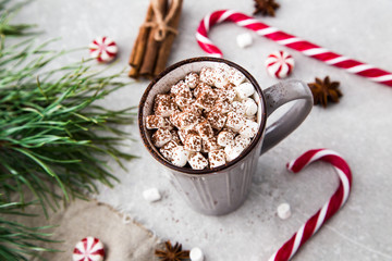 Cocoa with marshmallow and christmas decoration. On a stone back