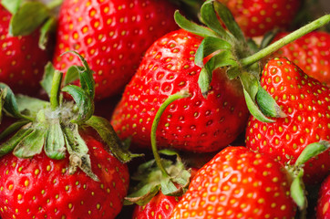 strawberry macro