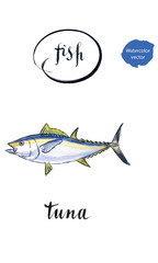 Sea fish tuna