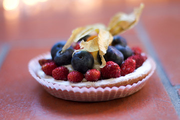 wild stawberries on a little tarte,terracotta background