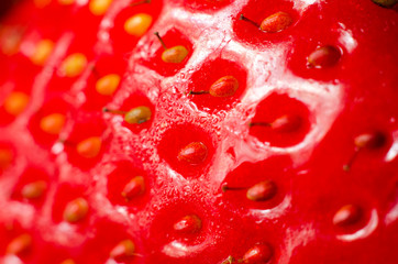 strawberry macro © Roman Gorielov
