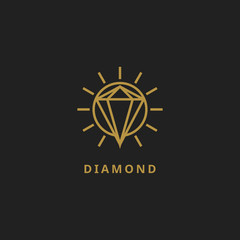 Vector outline company logo. Dark grey card with golden diamond logo