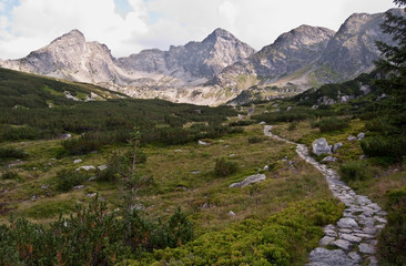 Fototapeta na wymiar Dolina Zielona Gasienicowa mountain valley with stone hiking trail, grass and peaks in polish part of High Tatras mountains