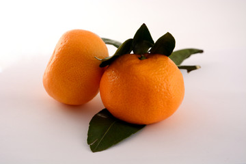 Two orange tangerine