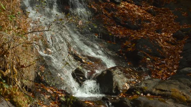 Tilt Up Mountain Waterfall Running Though Fallen Leaves 4K