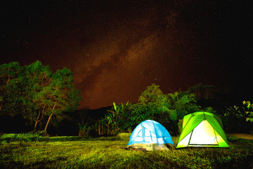 camp in forest at night with star