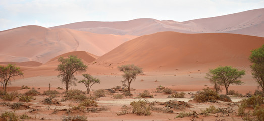 Fototapeta na wymiar sand dunes