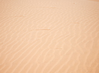 sand background