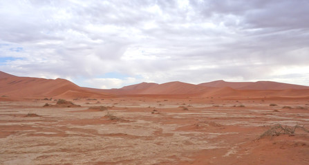 Naklejka premium desert landscape