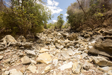 dry river bed during drought, Ankarana reservation, Madagascar