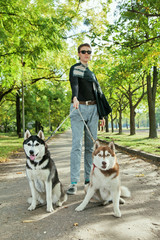 Model young girl with two dogs Husky walking through the park. Autumn landscape, warm weather.