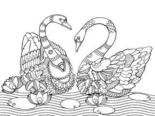 Swan coloring book for adults vector