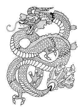 Dragon coloring book for adults vector