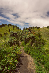 Fototapeta na wymiar Mountain landscape with grass tree and sky background