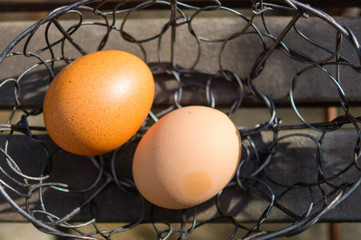 Fototapeta na wymiar Two Eggs in Steel Place