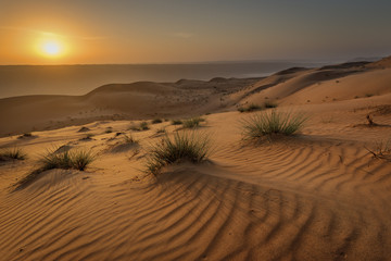 the beauty of a desert / Wahabi Sand, Oman