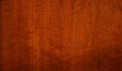 Fototapeta premium texture