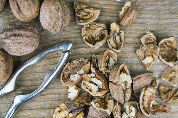 Cracking open fresh fall walnuts with a simple metal nutcracker with whole nuts and smashed shells on a rustic wood table