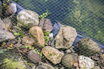 Netting covering a garden pond held in place by natural rocks and stones over a black plastic liner...