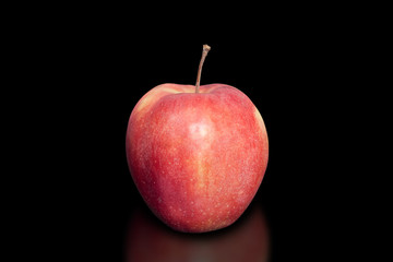 Polish apple with natural organic cultivation. Free of chemicals and pesticides on pure black background.