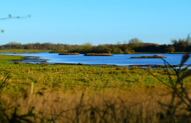 Naturschutzgebiet Weide Geltinger Birk