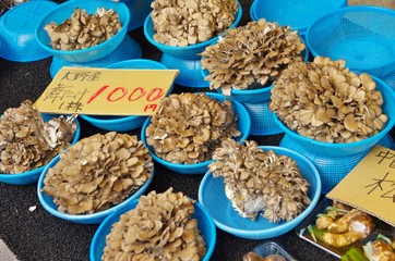 朝市で売られる新鮮なまいたけ