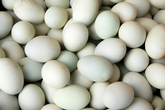fresh duck eggs as background.