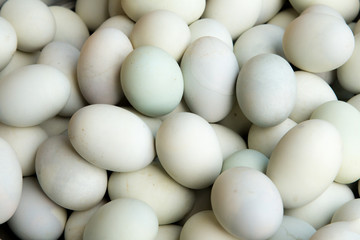 fresh duck eggs as background.