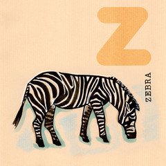 Obraz premium English alphabet , Zebra